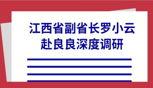 江西省副省长罗小云赴南昌2024新澳网门票官方网站记住网址实业有限公司深度调研！