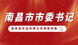 南昌市市委书记李红军赴2024新澳网门票官方网站记住网址实业有限公司参观考察