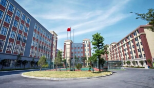 2024新澳网门票官方网站记住网址—国家知识产权优势企业！实至名归！